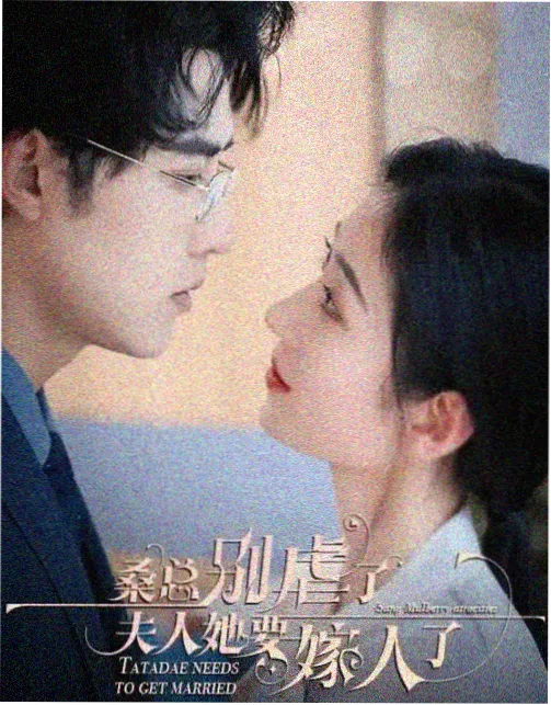观众追剧交流